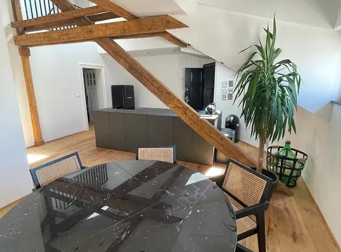 Apartment Rooftop Loft